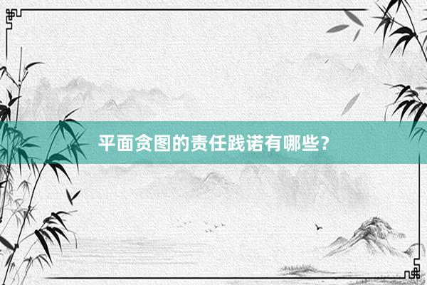 平面贪图的责任践诺有哪些？